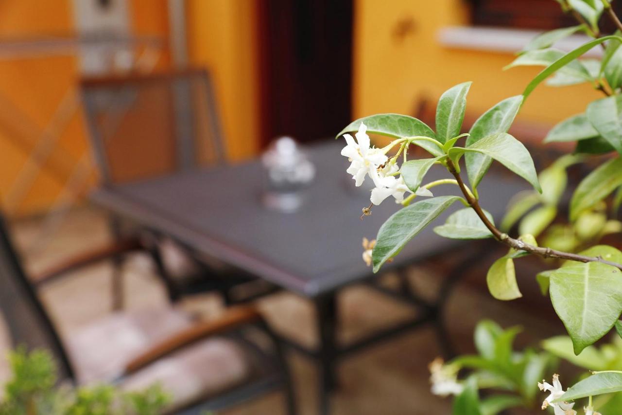 Apartmani Strpic Biograd Na Moru Ngoại thất bức ảnh