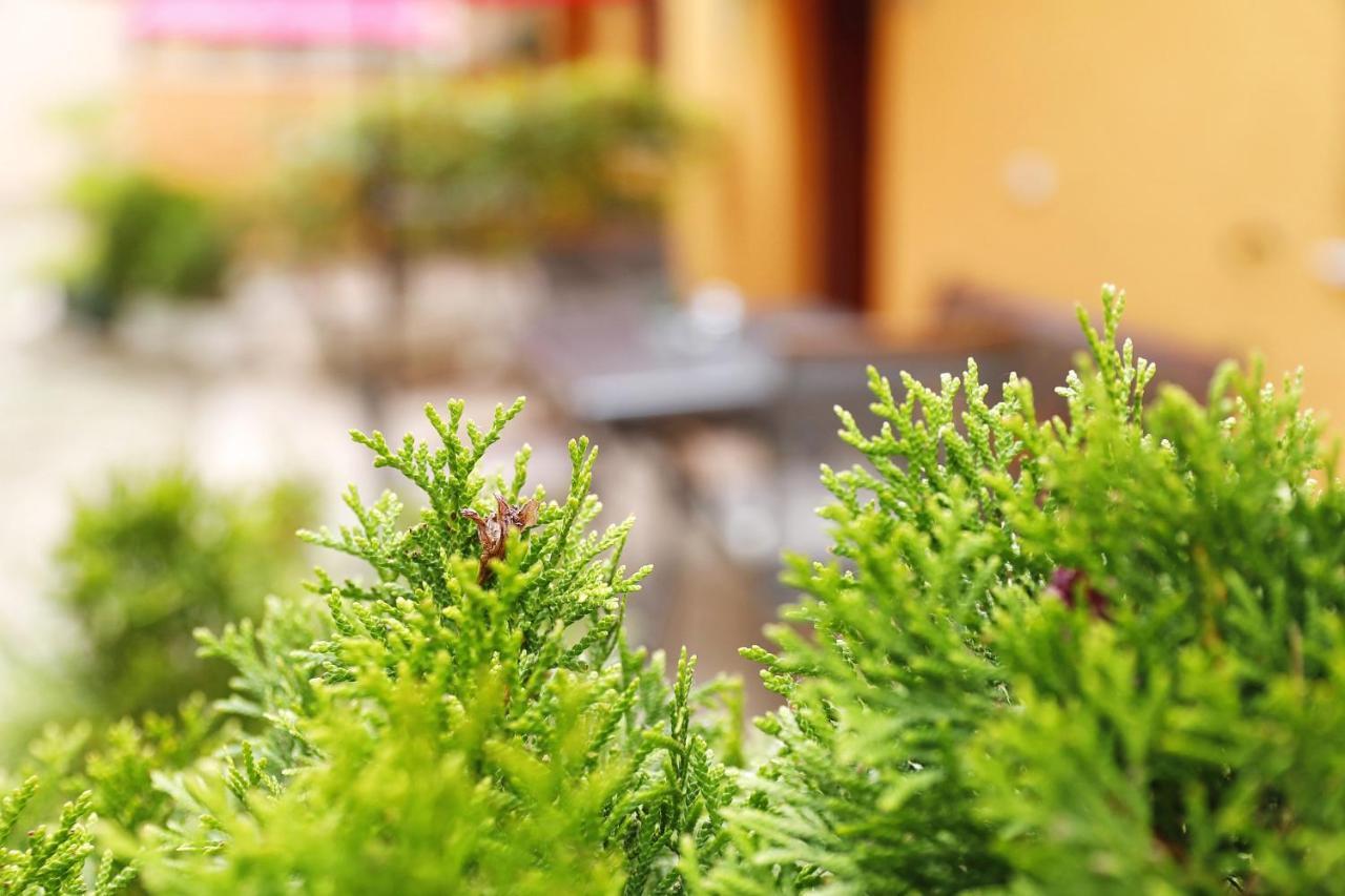 Apartmani Strpic Biograd Na Moru Ngoại thất bức ảnh