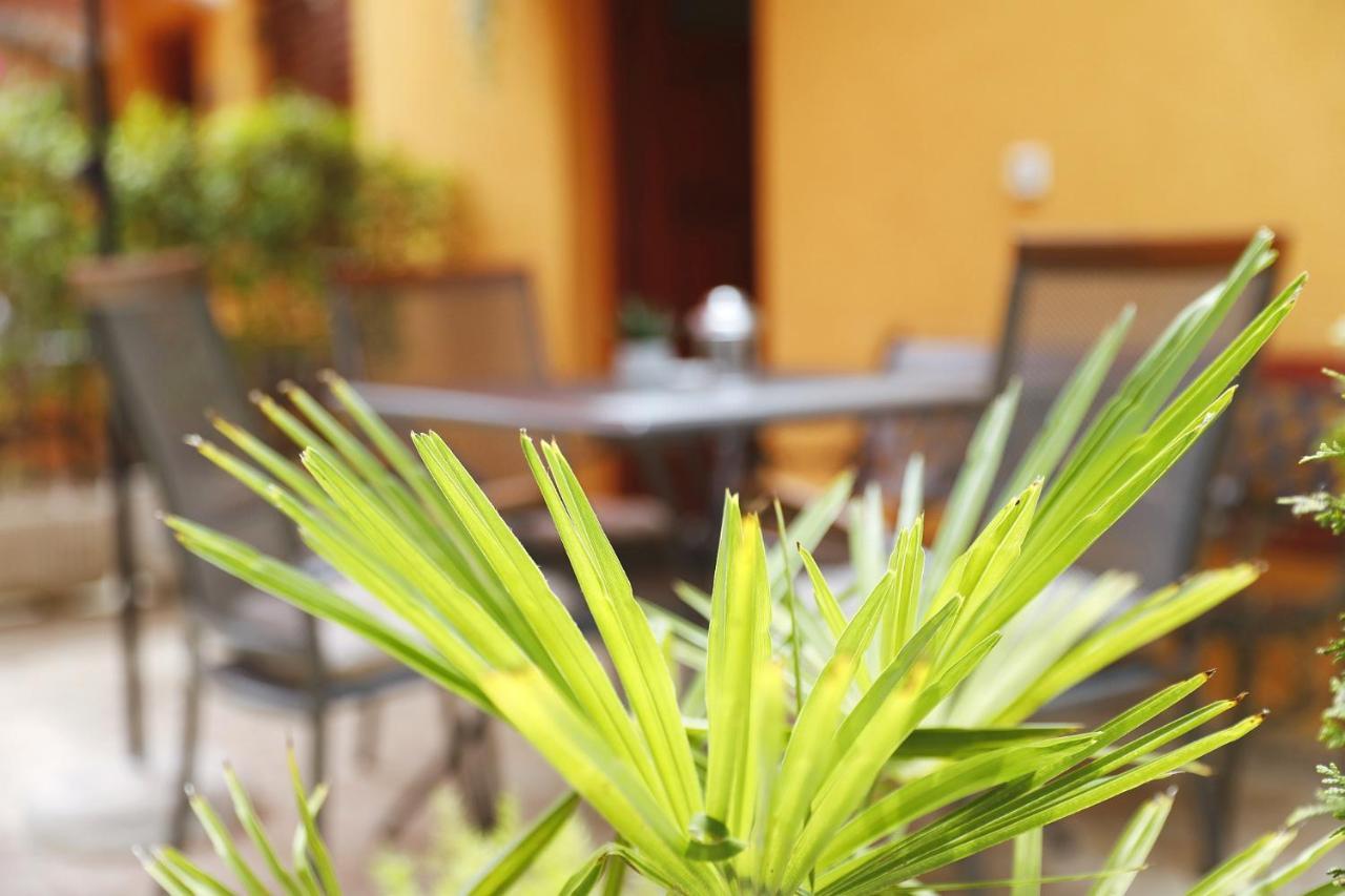 Apartmani Strpic Biograd Na Moru Ngoại thất bức ảnh